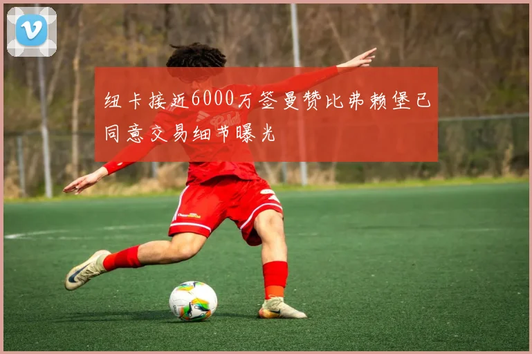 纽卡接近6000万签曼赞比弗赖堡已同意交易细节曝光